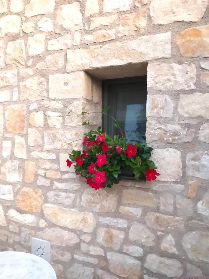 Luxury Apartments San Zeno Colognola ai Colli Dış mekan fotoğraf